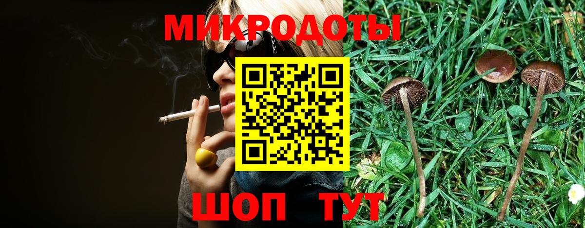 Псилоцибиновые грибы Cubensis Ликино-Дулёво